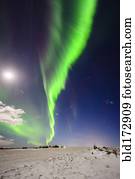 Northern lights in sky over snowy landscape