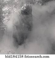 Caucasian woman standing in mist