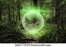 Glowing sphere floating in forest