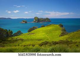 gramíneo, penhasco, e, remoto, seascape