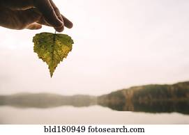 Hand holding autumn leaf at remote lake