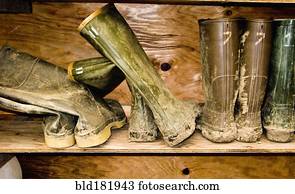 Regal Stock Bilder und Fotos. 148.596 regal Fotografien und Lizenzfreie