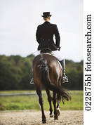 rear view of female dressage rider exercising rear view of female dressage rider exercising