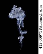 Blue and gray smoke wisp