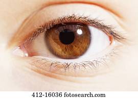 Extreme close up of brown eye