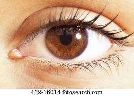 Extreme close up of brown eyes