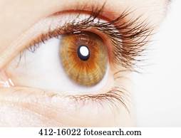 Extreme close up of hazel eye