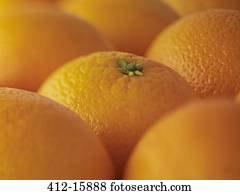 Extreme close up of oranges