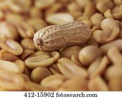Extreme close up of peanuts