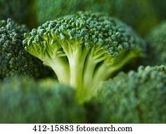 Extreme close up of raw broccoli