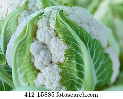 Extreme close up of raw cauliflower head
