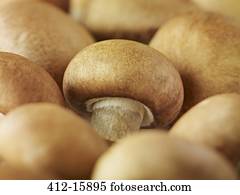Extreme close up of whole chestnut mushrooms
