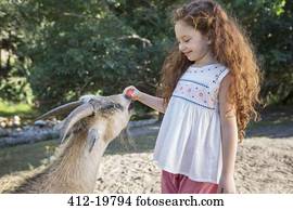 Girl feeding animal in forest