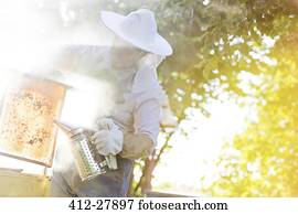apicultor, usando, fumante, para, pacata, abelhas