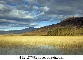 visão cênica, ensolarado, pântano, e, colinas, loch, Carron, wester, ross, escócia