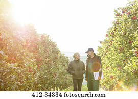 Farmers with clipboard talking in sunny apple orchard