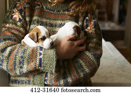 menina, em, suéter, segurando, filhotes cachorro