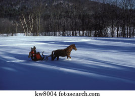 drawn horse sleigh fotosearch couple young