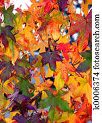 Autumn pattern Autumn pattern