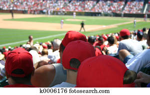 Baseball Crowd Baseball Crowd