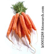Bunch of Carrots Bunch of Carrots
