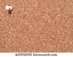 Cork Board