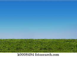 céu, e, capim