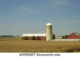 Farm Farm