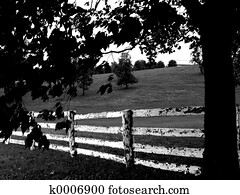 Fence Fence