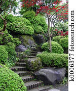 Japanese Garden Japanese Garden