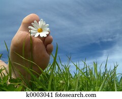 Summertime! Summertime!