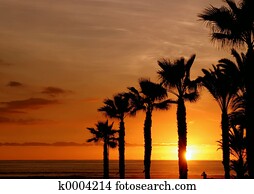 sunset sunset