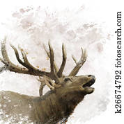 איל של שור, וואטארכולור