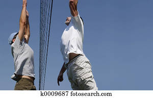 החף כדור עף