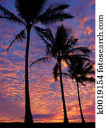 Beach at sunset Beach at sunset
