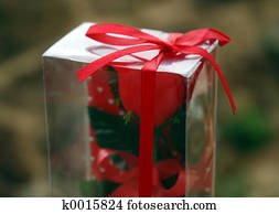 Gift Gift