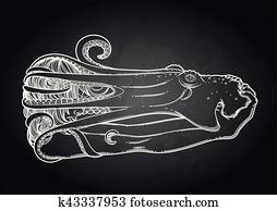 Graphic girl with octopus Graphic girl with octopus