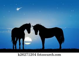 horses silhouette in love horses silhouette in love