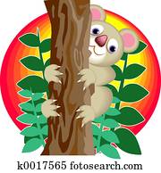 Koala Bear Koala Bear