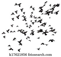 Many birds flying in the sky