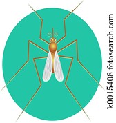 Mosquito Mosquito