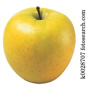 apple apple