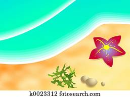 Beach Beach