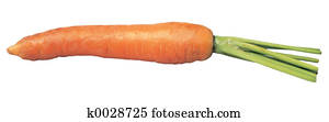 carrot carrot