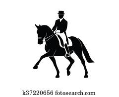 Dressage horses Dressage horses