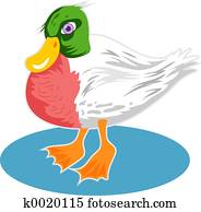 Duck Duck
