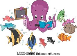 Octopus Teacher Fish Octopus Teacher Fish