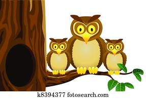 Owl family