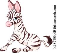 Zebra Foal Zebra Foal