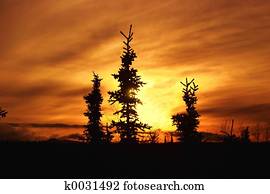 alasca, inverno, pôr do sol